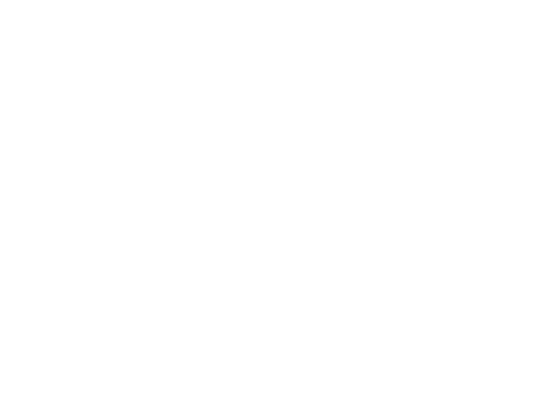 BDP BURGER